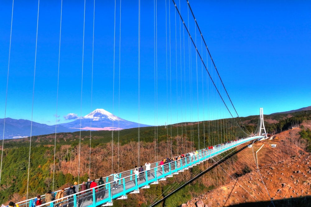 三島スカイウォークの写真 ©くろふね(CC BY 3.0)