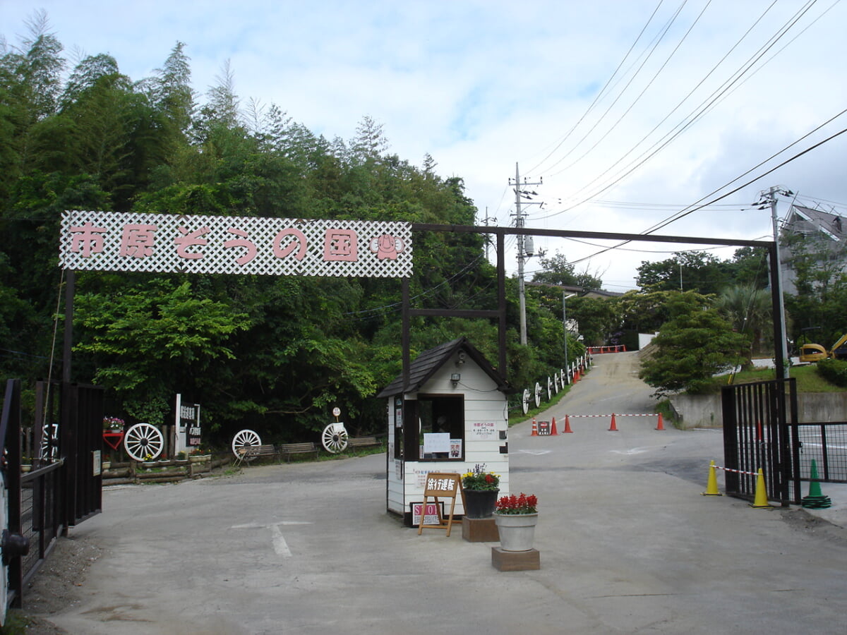 市原ぞうの国の写真 ©Proshikok(Public domain)