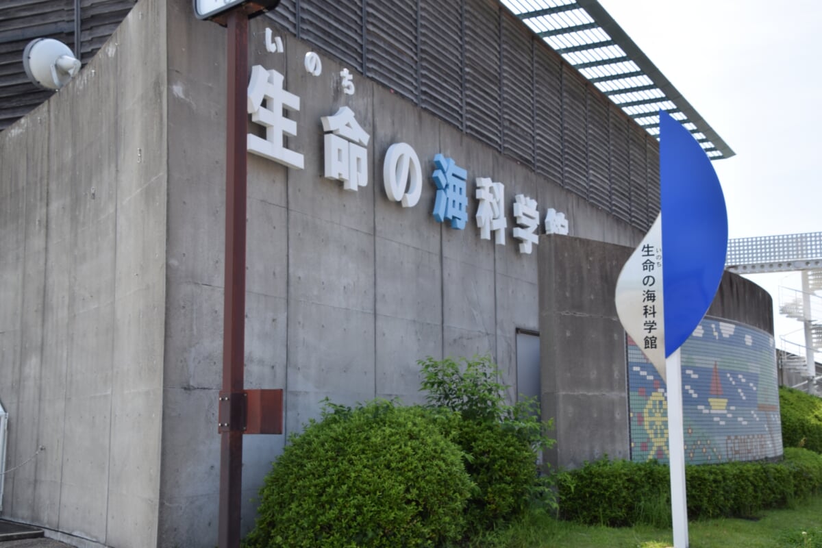 蒲郡市 生命の海科学館の写真 