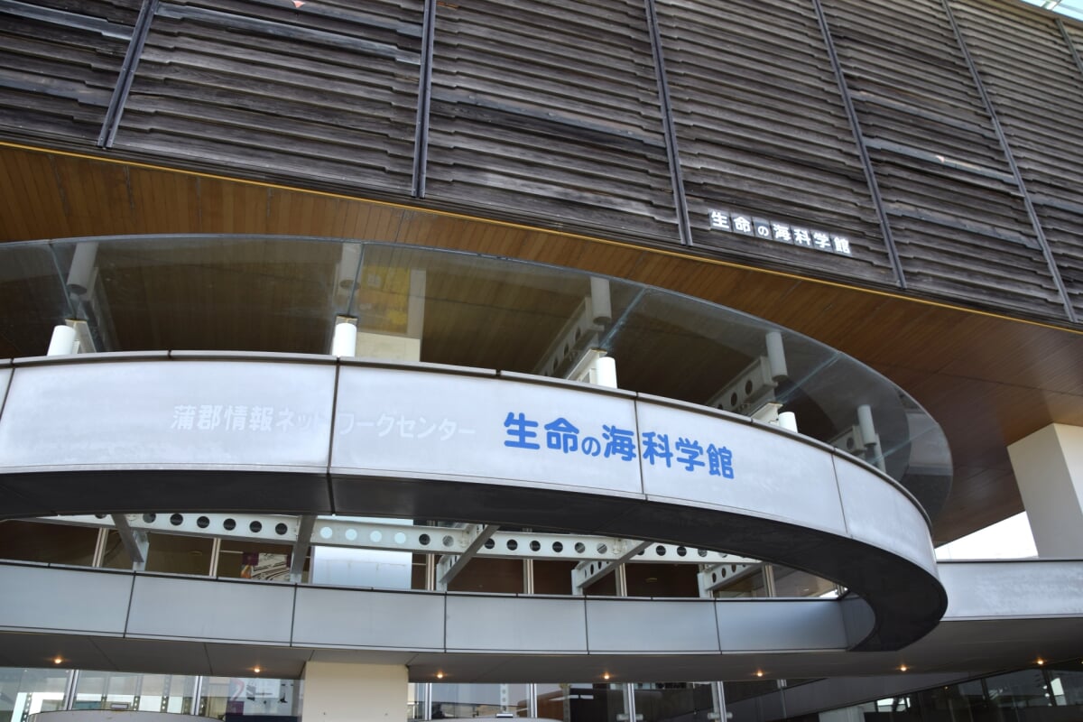 蒲郡市 生命の海科学館の写真 