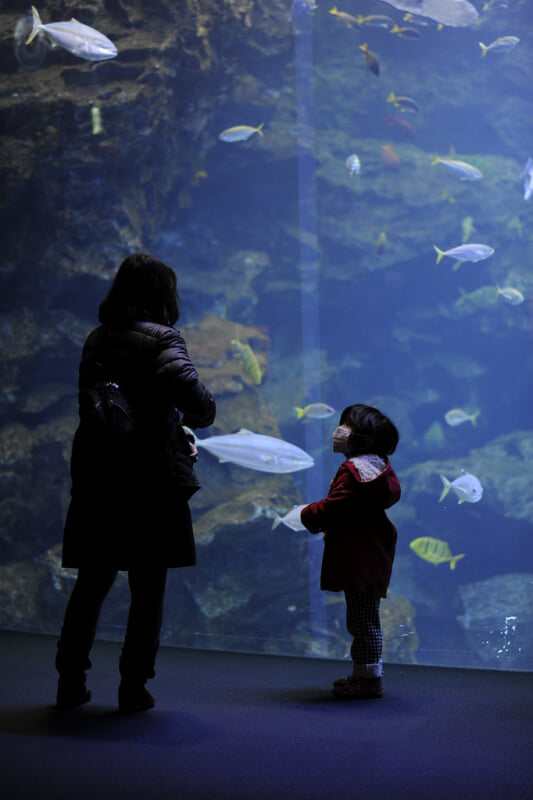 京都水族館の写真 ©BONGURI(CC BY-ND 2.0)