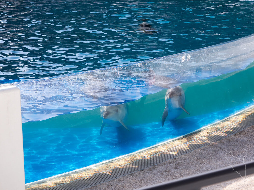 京都水族館の写真 ©noriqnub(CC BY-SA 2.0)