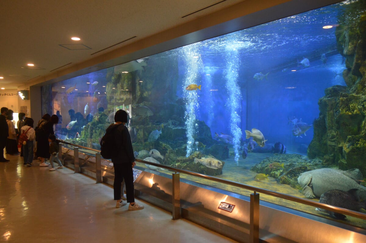 丹後魚っ知館の写真 ©Asturio(CC BY-SA 4.0)