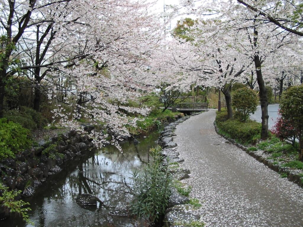 一之江境川親水公園の写真 ©harumeki(CC BY 2.1 jp)