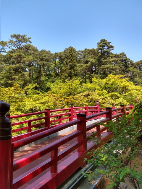 弥彦公園の写真 