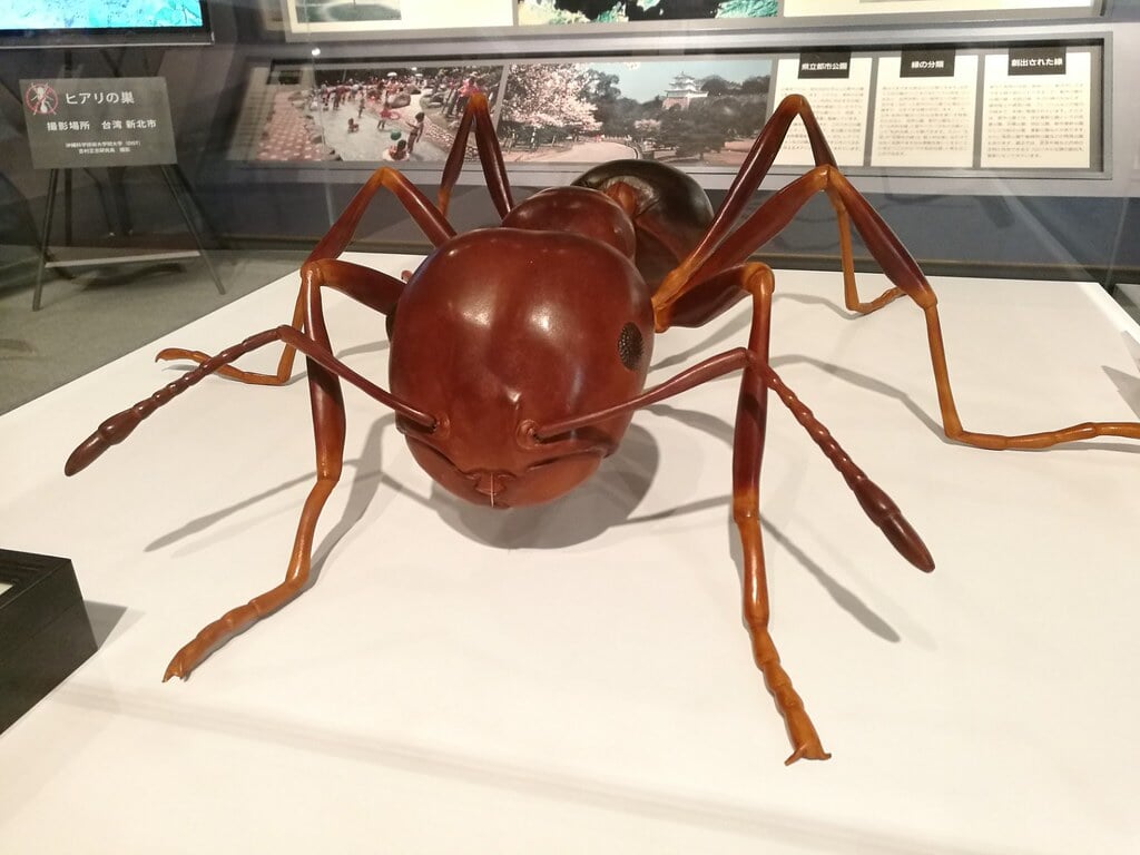 兵庫県立人と自然の博物館の写真 ©mah_japan(CC BY 2.0)