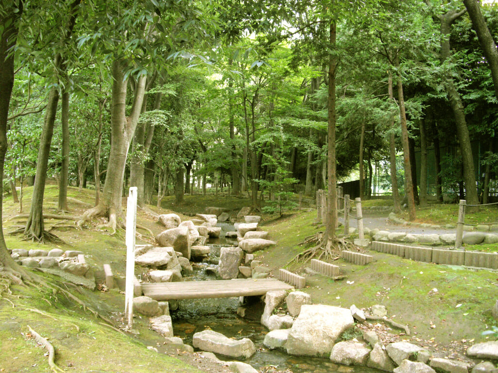 駒沢緑泉公園の写真 ©koji_h(CC BY 3.0)