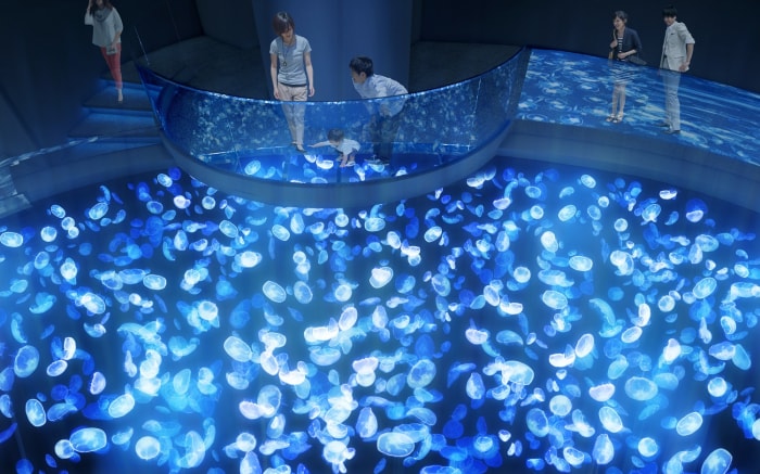 すみだ水族館の写真 
