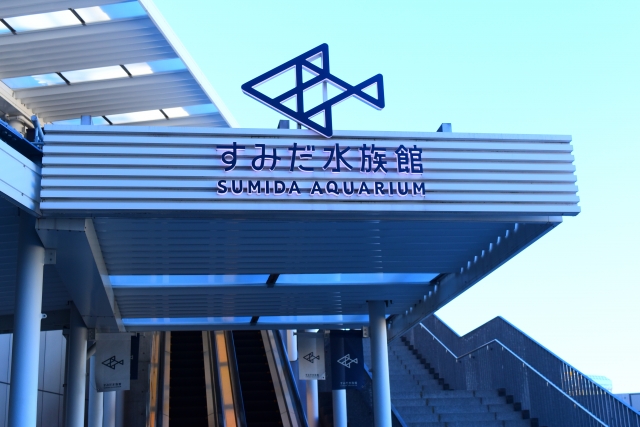 すみだ水族館の写真 