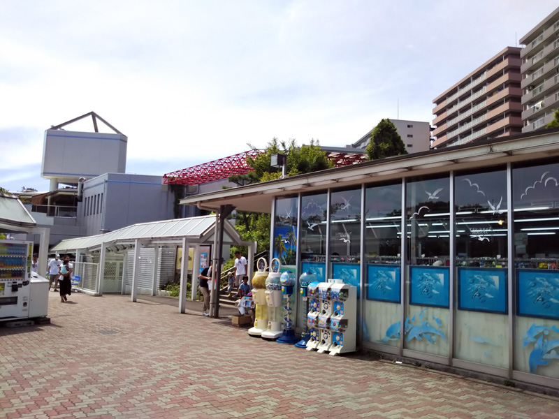 しながわ水族館の写真 
