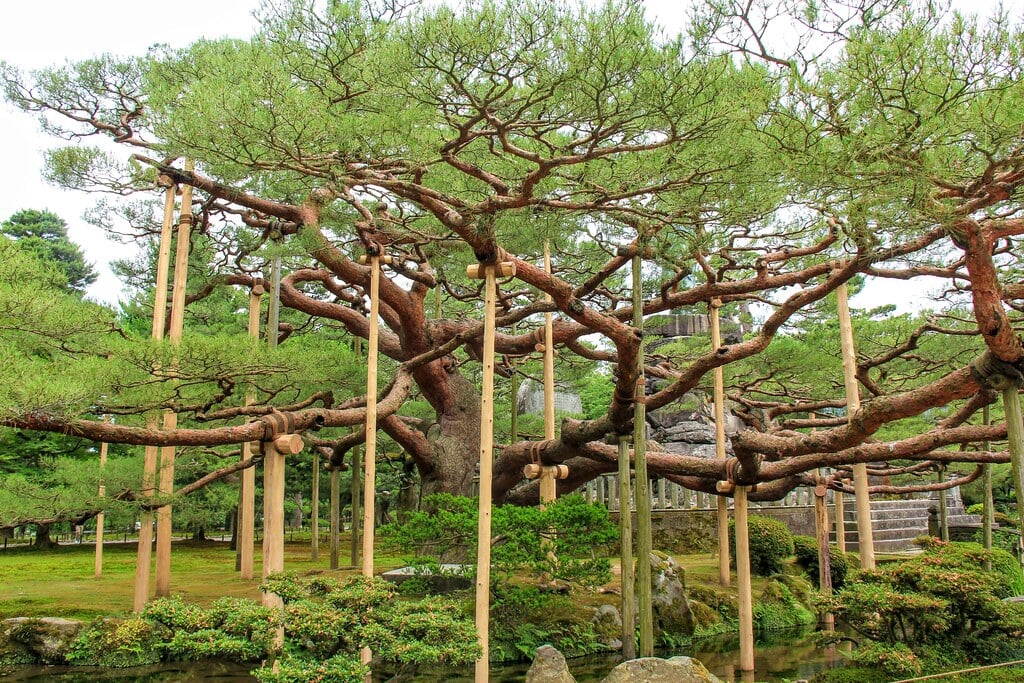 兼六園の写真 ©cattan2011(CC BY 2.0)