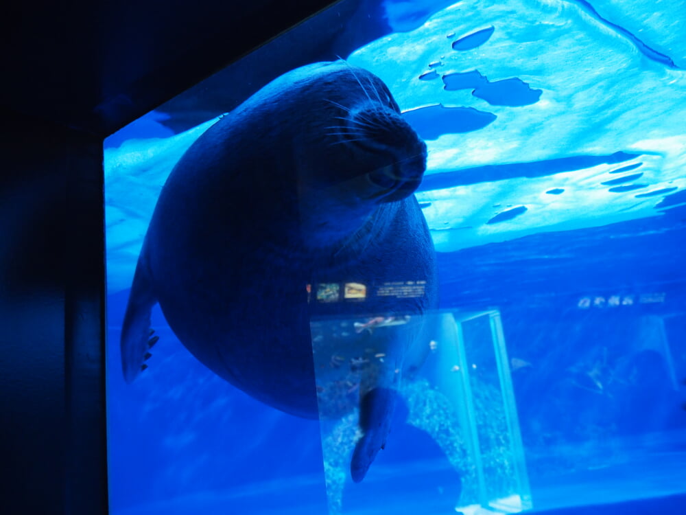 サンシャイン水族館の写真 ©Motokoka(CC BY-SA 4.0)
