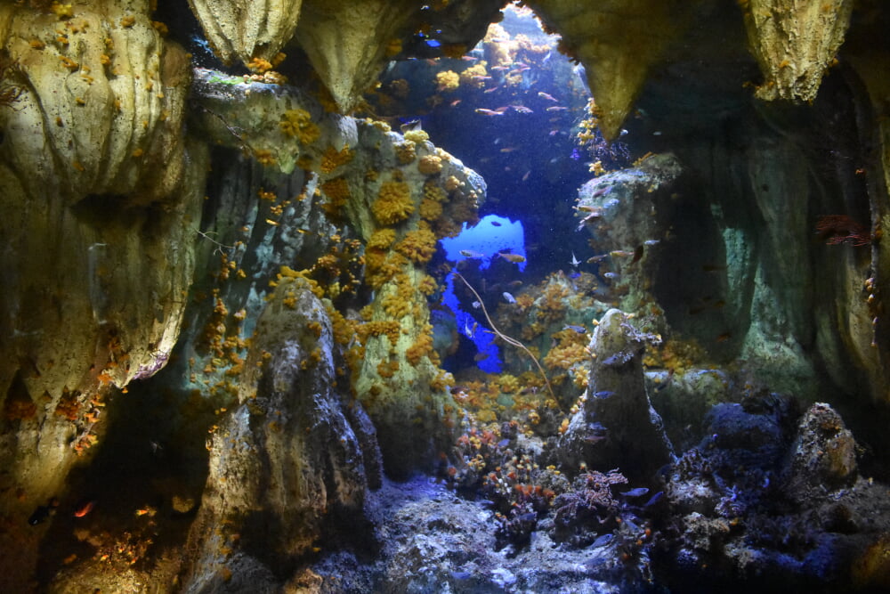 サンシャイン水族館の写真 ©江戸村のとくぞう(CC BY-SA 4.0)