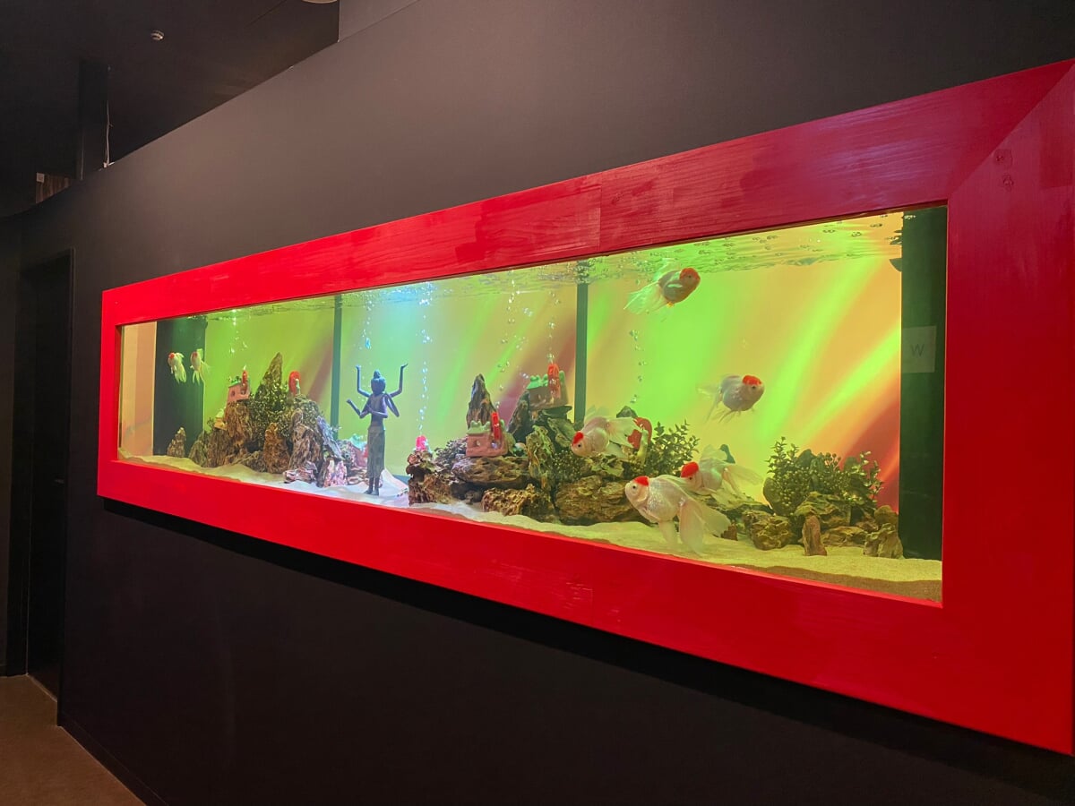 奈良金魚ミュージアムの写真 