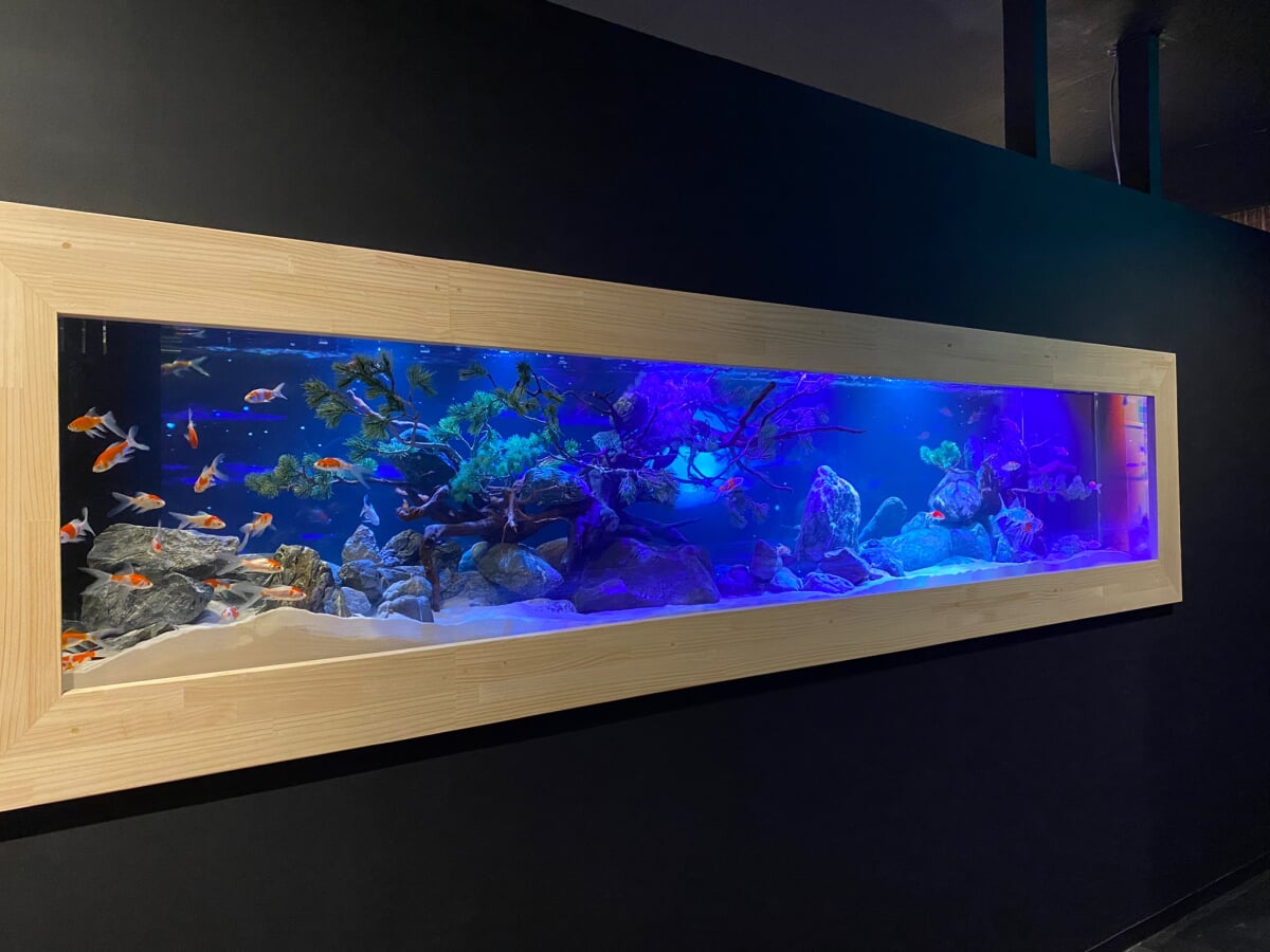 奈良金魚ミュージアムの写真 