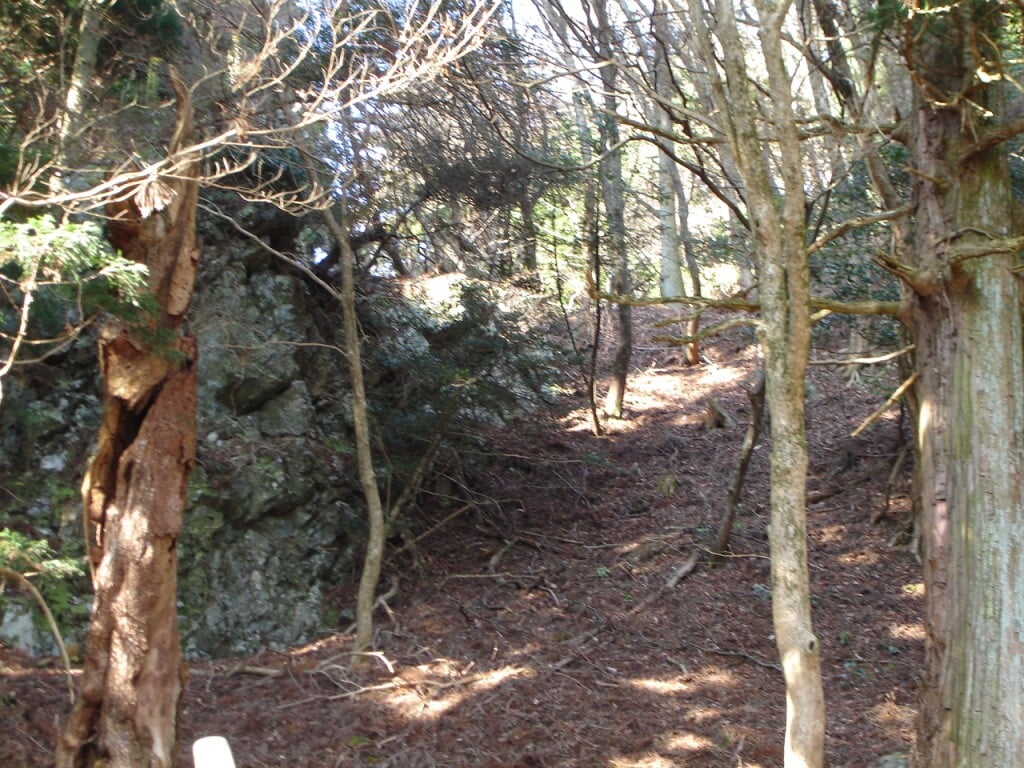 愛宕山の写真 ©casek(CC BY 2.0)
