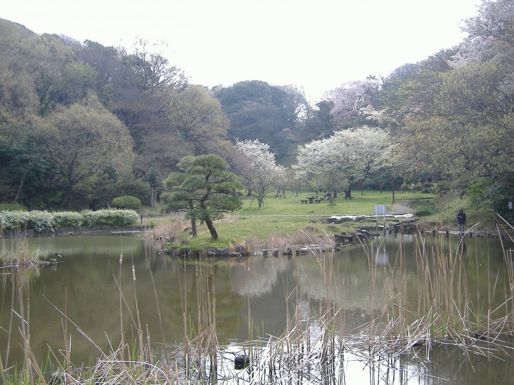 久良岐公園の写真 ©妖精書士(Public domain)