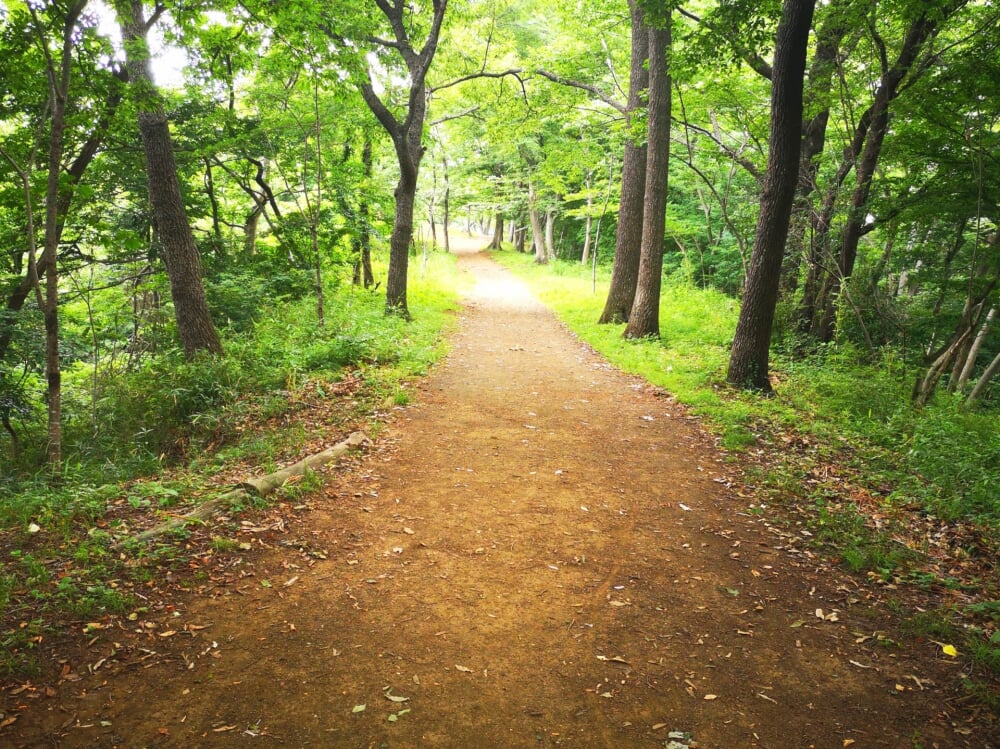 弘法山公園の写真 