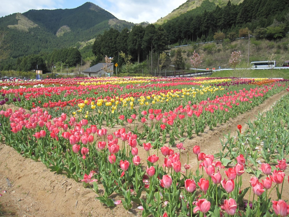 神崎農村公園 ヨーデルの森の写真 ©KishujiRapid(CC BY-SA 3.0)