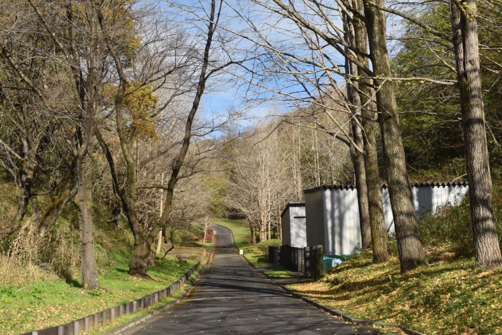 こどもの国の写真 