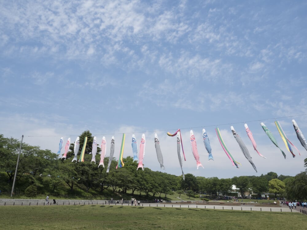 こどもの国の写真 