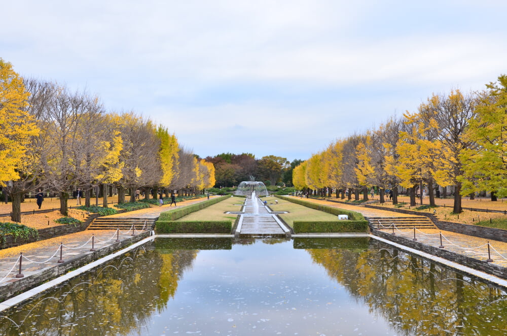 国営昭和記念公園の写真 ©KΛNΛTΛ(CC BY-SA 3.0)
