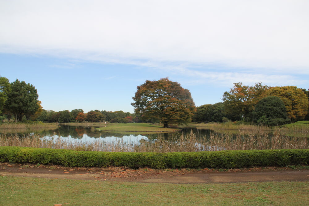 国営昭和記念公園の写真 ©Arashiyama(CC BY-SA 3.0)
