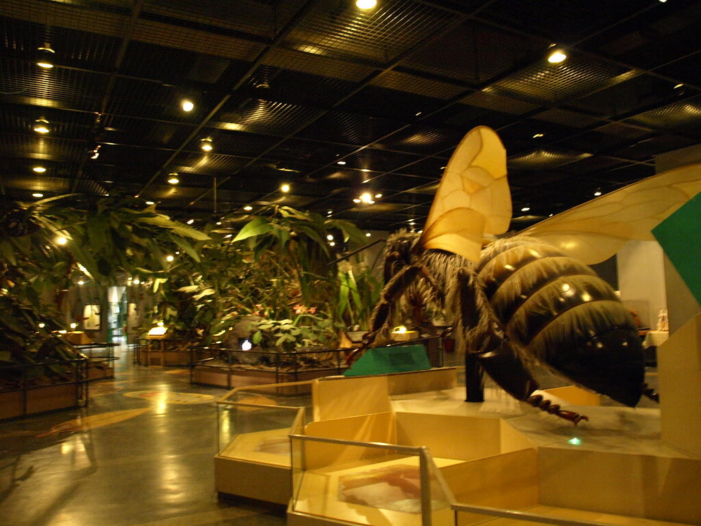 伊丹市昆虫館の写真 ©merec0(CC BY 2.0)
