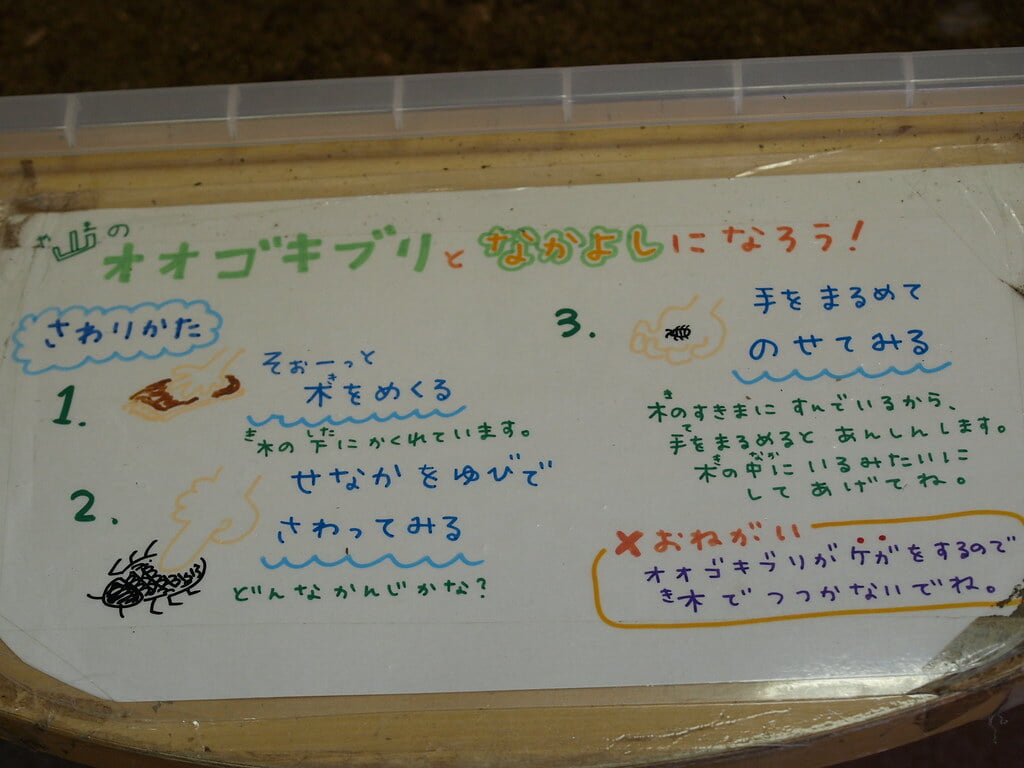 伊丹市昆虫館の写真 ©merec0(CC BY 2.0)