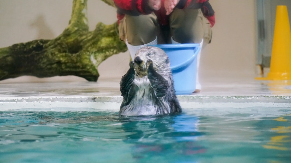鳥羽水族館の写真 