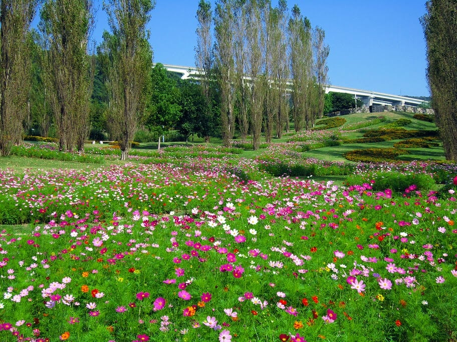 淡路島国営明石海峡公園の写真 ©Hiroaki Kaneko(CC BY-SA 3.0)