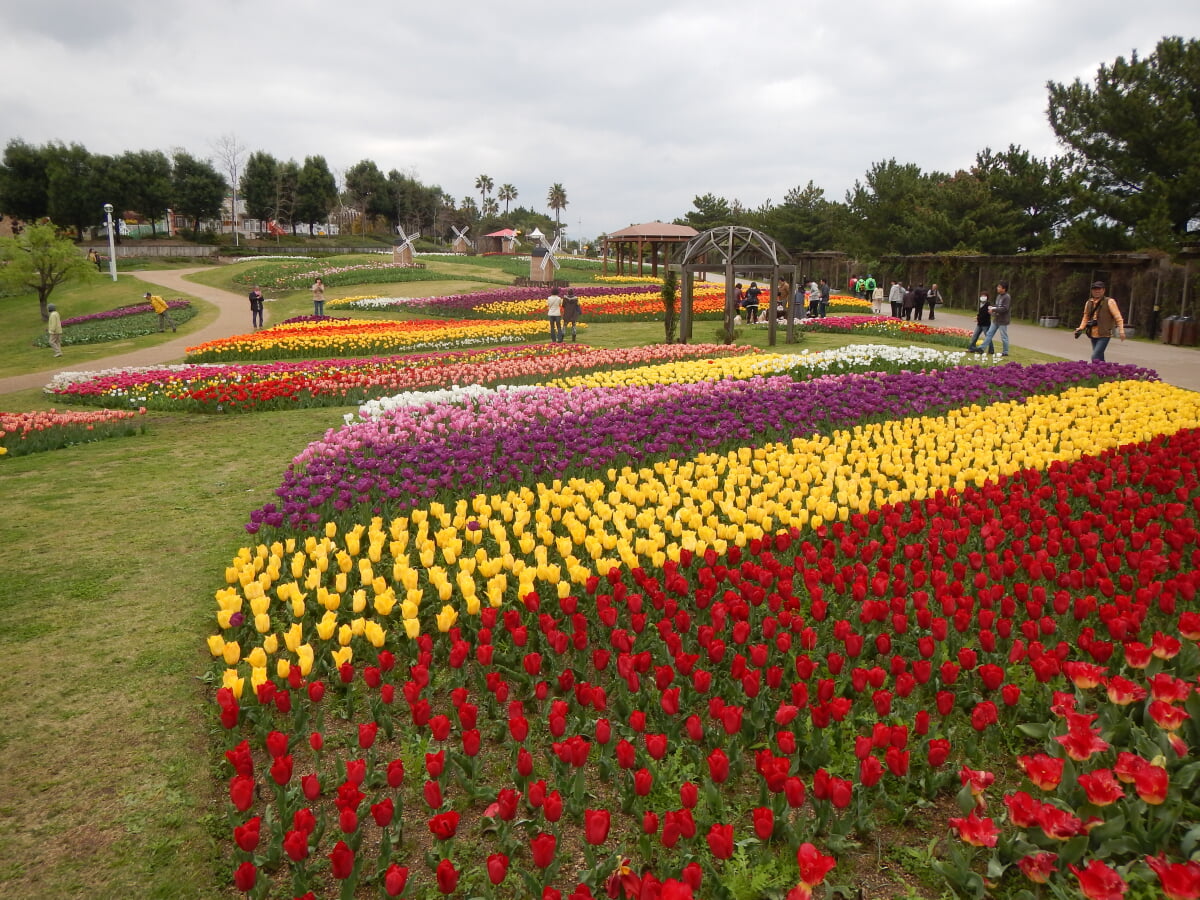 淡路島国営明石海峡公園の写真 ©Nekosuki(CC BY-SA 4.0)