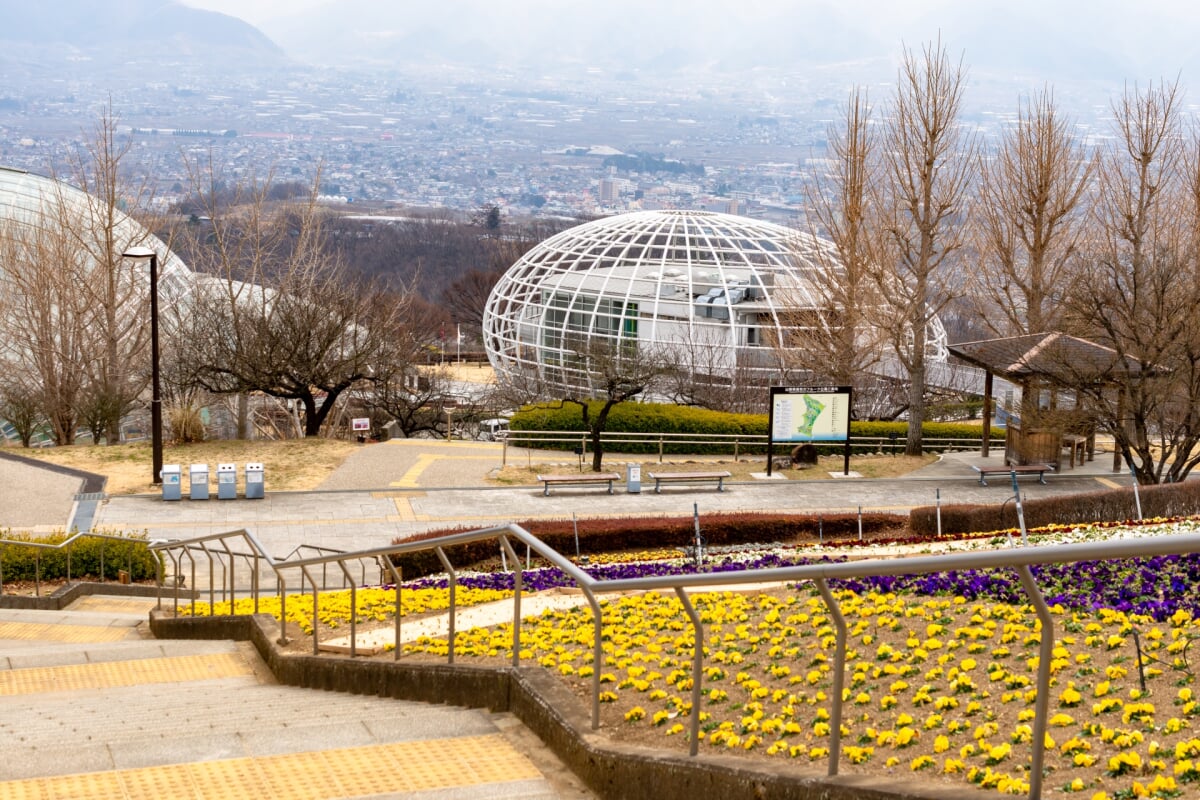 山梨県 笛吹川フルーツ公園の写真 