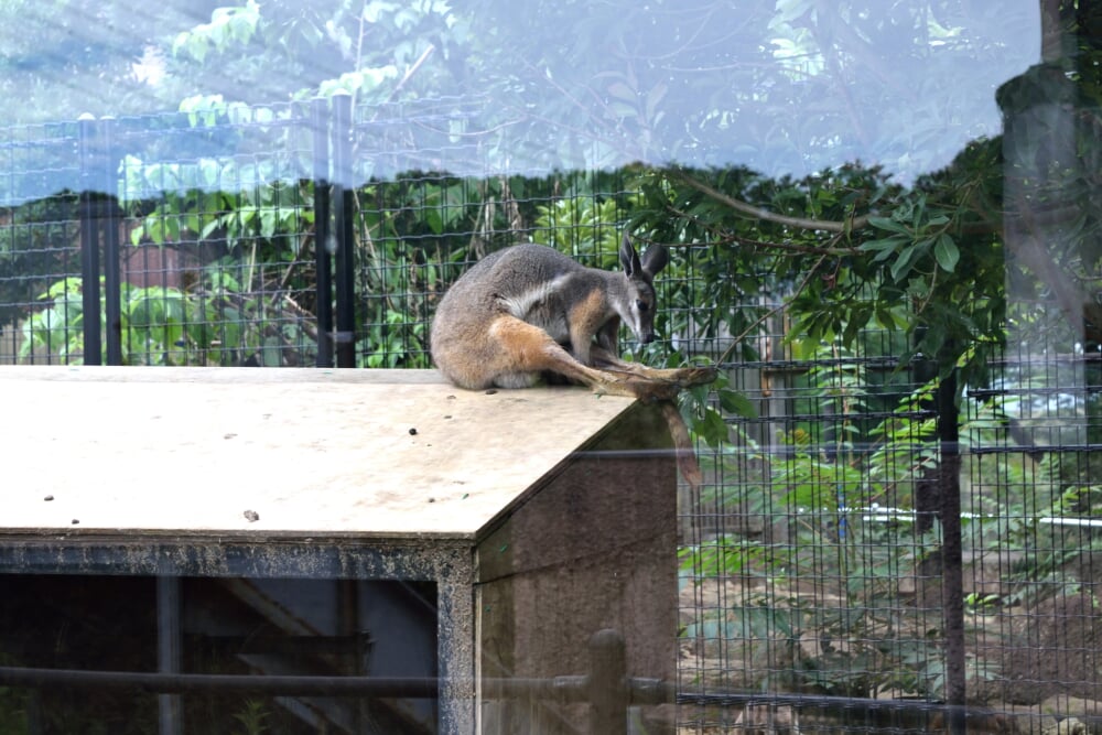 東京都 多摩動物公園の写真 