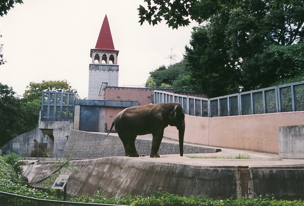 東京都 多摩動物公園の写真 