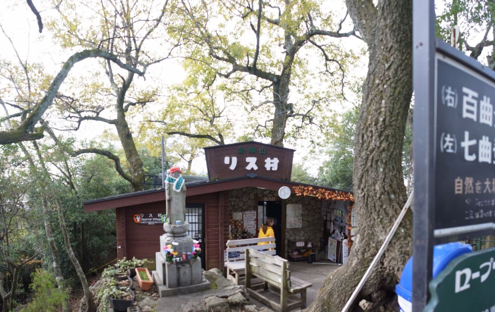 金華山 リス村の写真 ©z tanuki(CC BY 3.0)