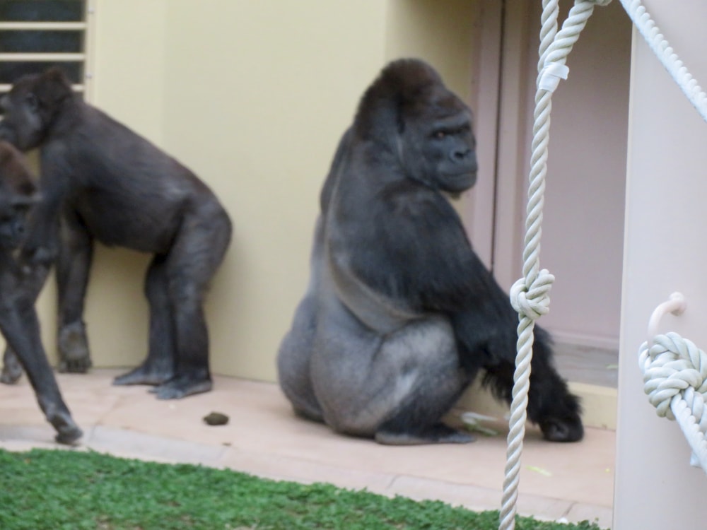 東山動植物園の写真 ©KKPCW(CC BY-SA 4.0)