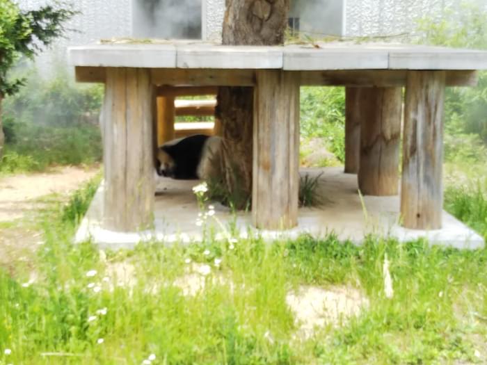 神戸市立王子動物園の写真 