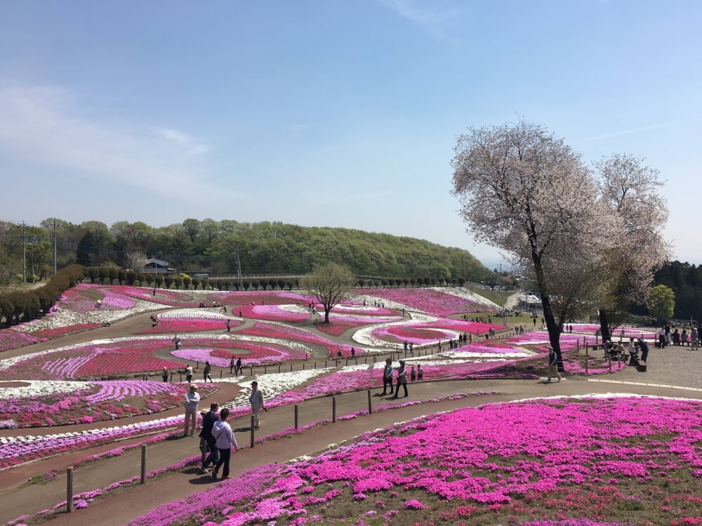 みさと公園の写真 