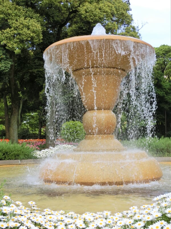 横浜公園の写真 