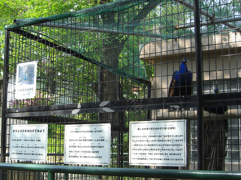 桐生が岡動物園の写真 ©blackpepper_555(CC BY 2.0)