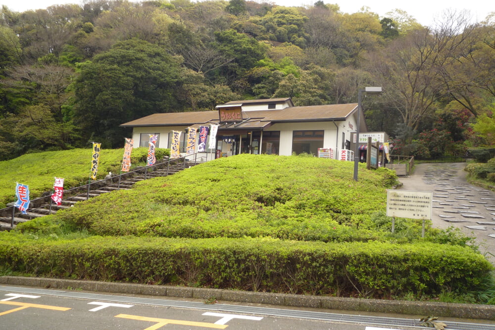 くりはま花の国の写真 ©Mizunoumi(CC BY-SA 3.0)