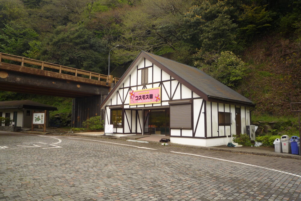 くりはま花の国の写真 ©Mizunoumi(CC BY-SA 3.0)