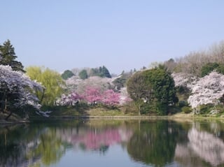 神奈川県立 三ツ池公園の写真 出典:神奈川県/神奈川県オープンデータ(CC BY 4.0)