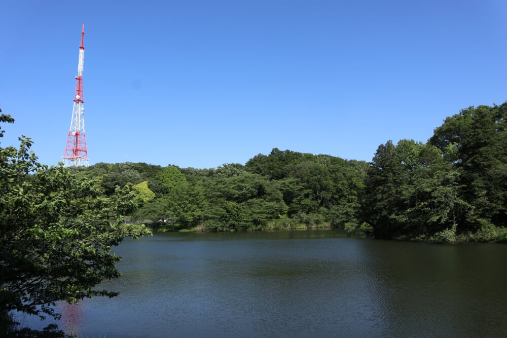 神奈川県立 三ツ池公園の写真 