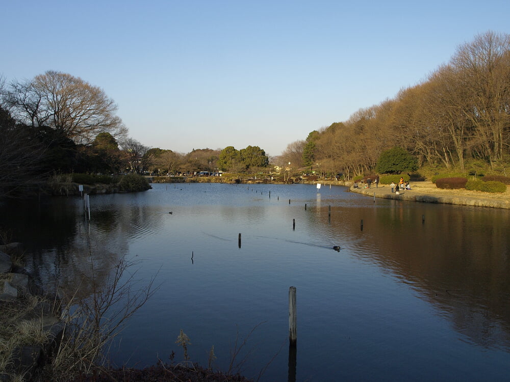 こども自然公園の写真 ©Kounosu(CC BY-SA 3.0)