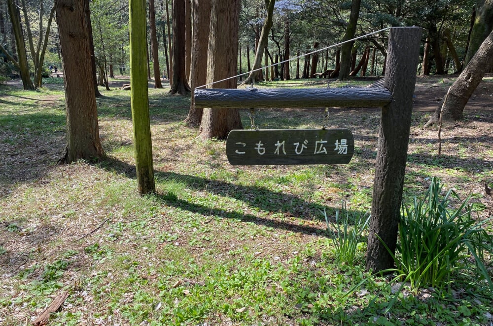泉の森公園の写真 