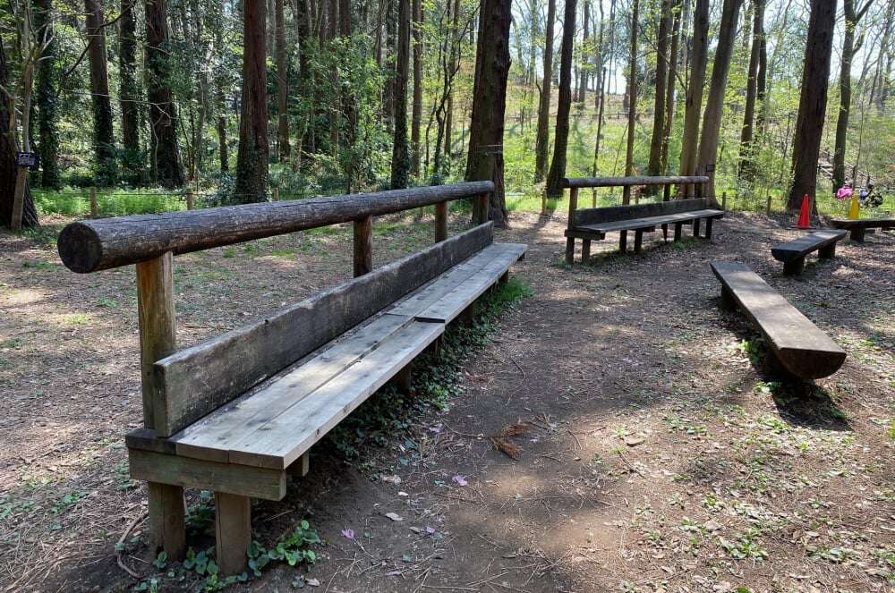 泉の森公園の写真 