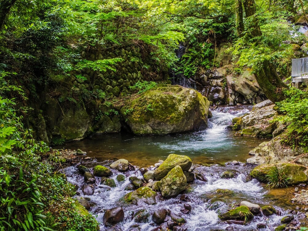湯河原万葉公園の写真 