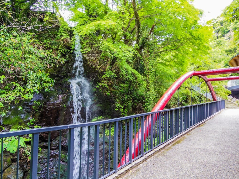 湯河原万葉公園の写真 